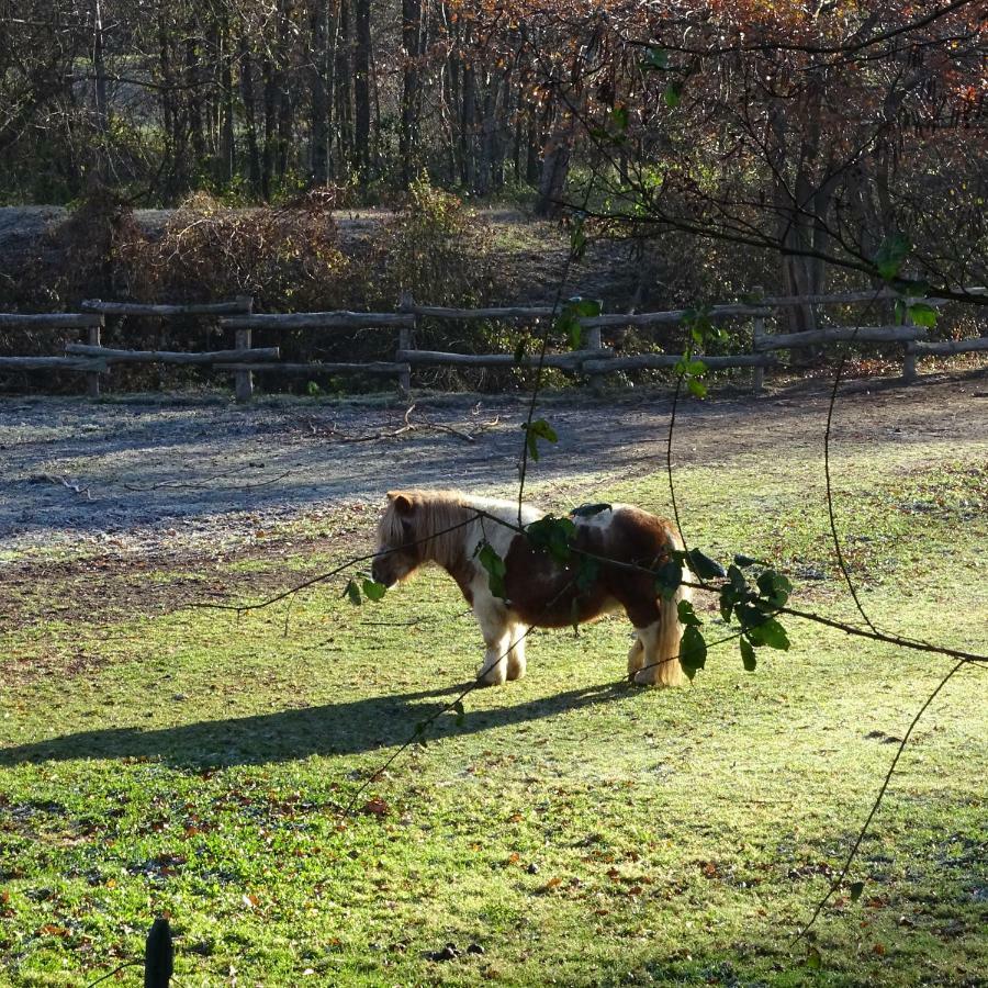 Agriturismo Campo Dei Fiori Rancio Valcuvia 外观 照片